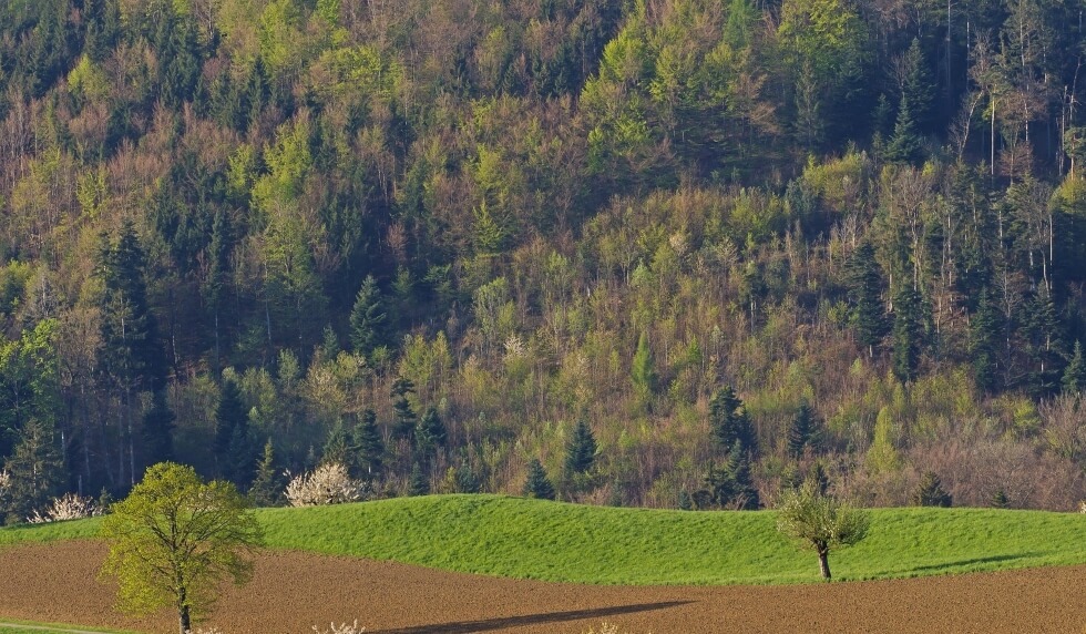 Hügelige Feld-, Wald- und Wiesenlandschaft